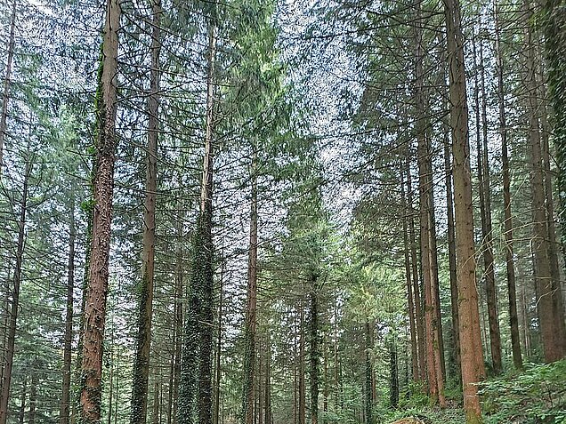 WhatsApp_Image_2025-03-03_a_11