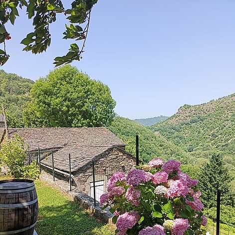 WhatsApp_Image_2025-11-30_a_13