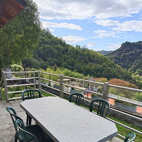 WhatsApp_Image_2026-01-11_at_19