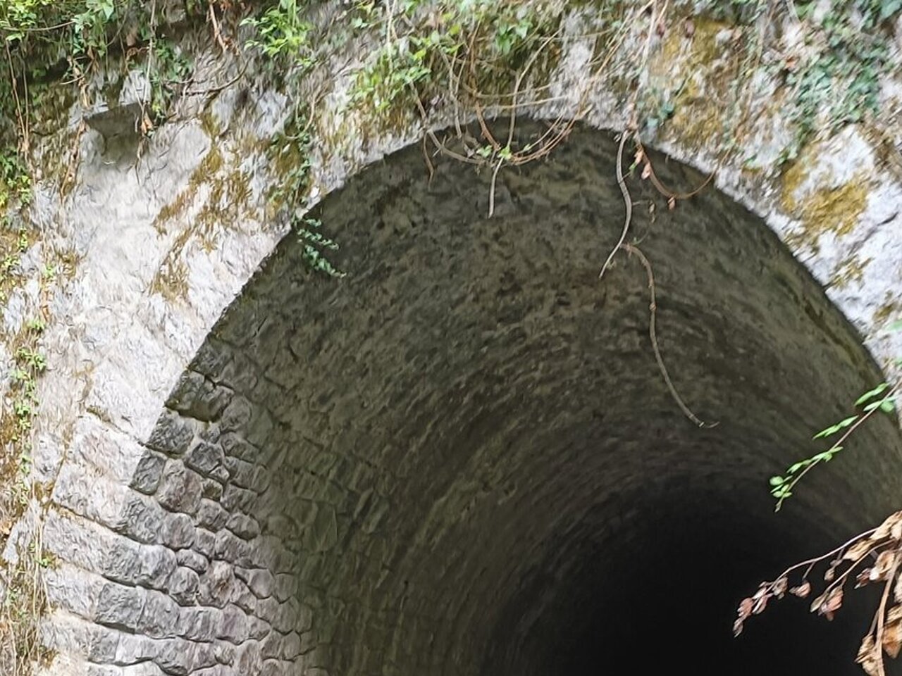 57vyItJRTiKOPyiPvdlumg