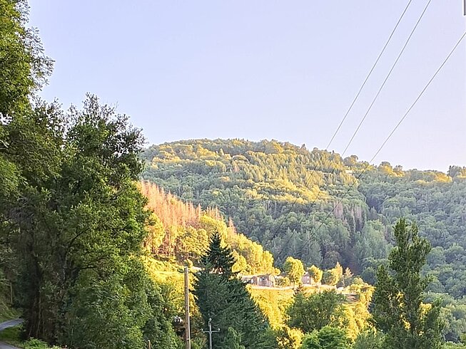 472250438_1147185594076954_5597198299127418092_n