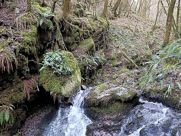 329862544_166711442795028_7251143476958473892_n