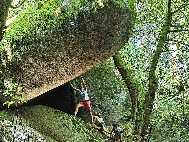 454944250_1033698048759043_7772577646264661287_n