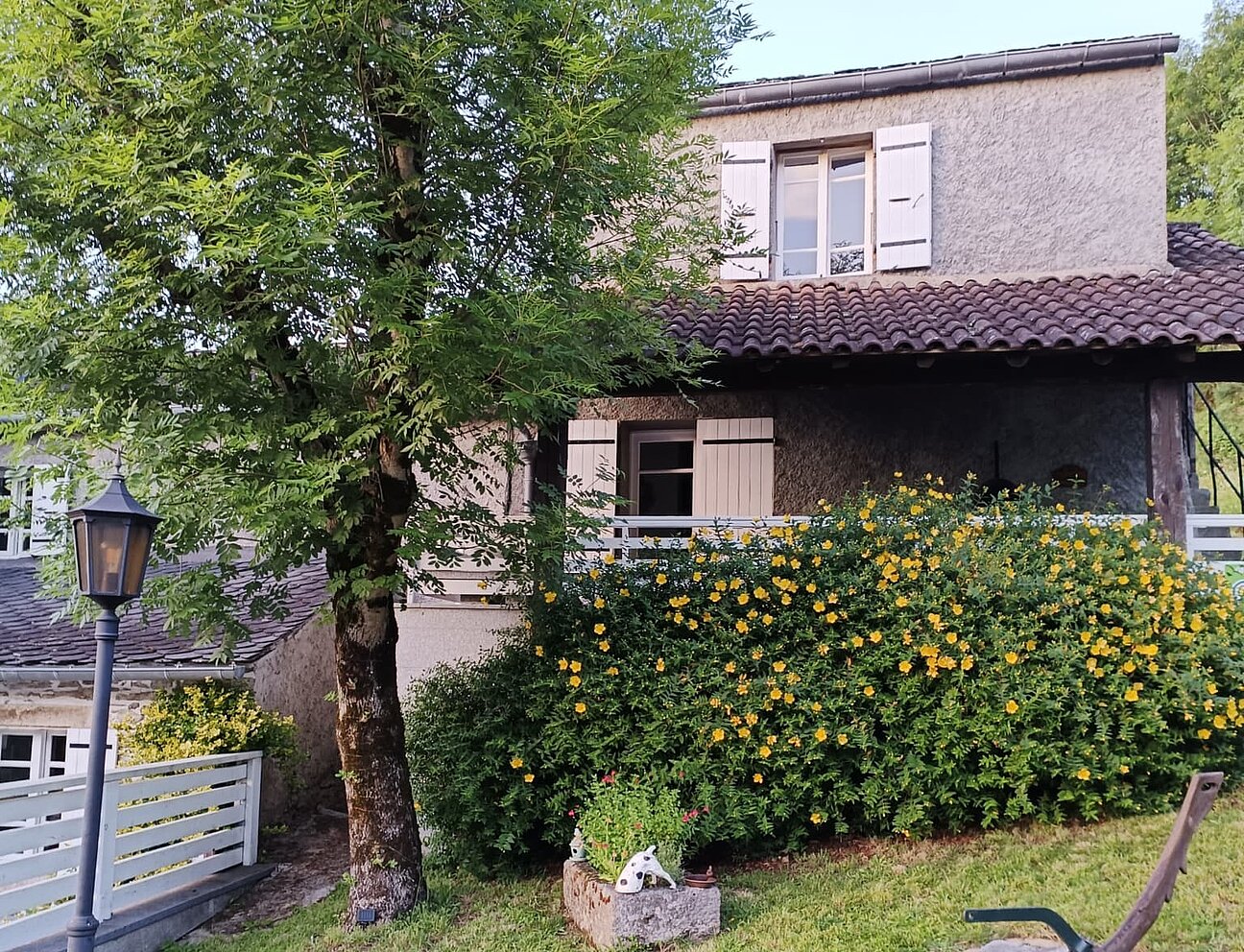 WhatsApp_Image_2026-01-16_at_20