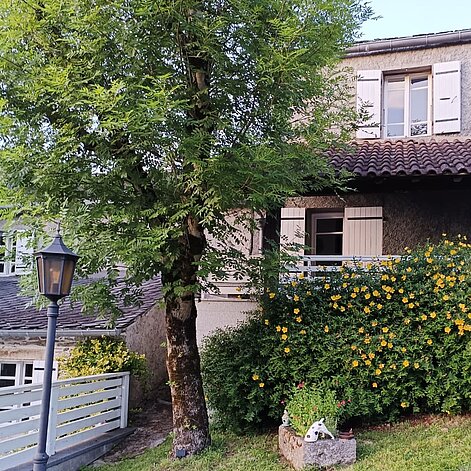 WhatsApp_Image_2026-01-16_at_20