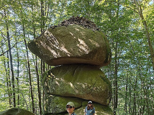 WhatsApp_Image_2025-03-17_a_10