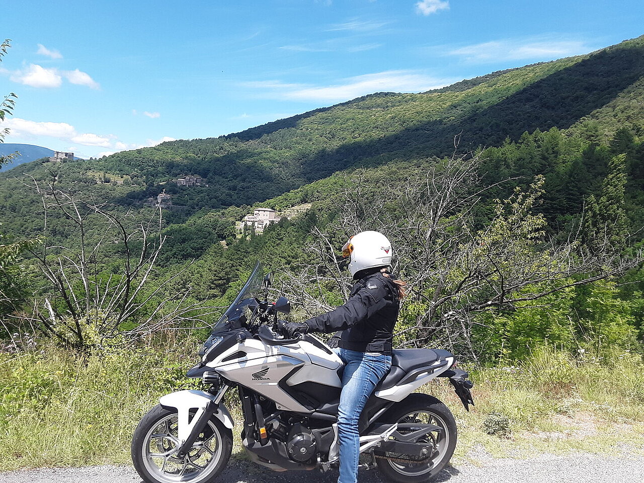 Motards